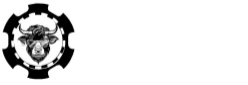 Wsm Casino